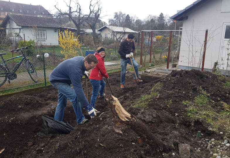 Unser großer Kleingarten