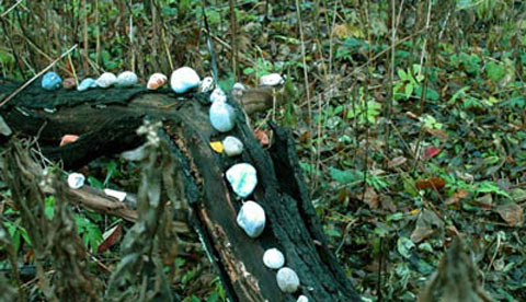 Land-Art im Herbstwald: Kunst aus Natur