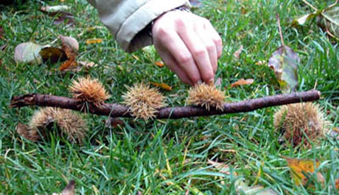 Land-Art im Herbstwald: Kunst aus Natur