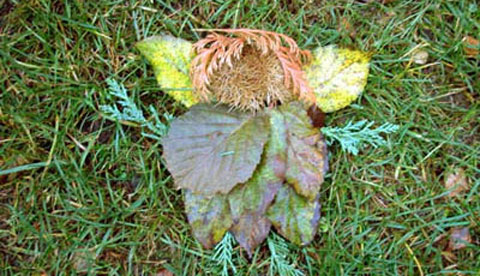 Land-Art im Herbstwald: Kunst aus Natur