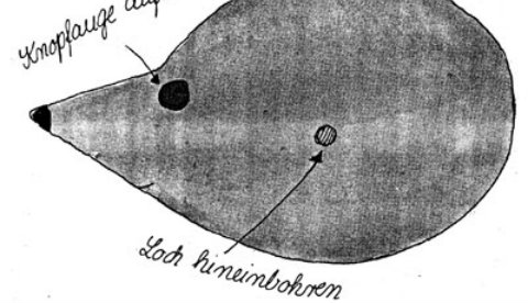 Lauftier aus Karton: Lauf, Igel, lauf!