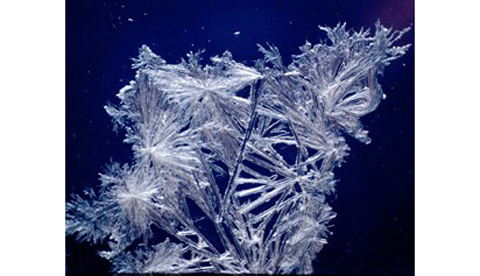 Salzkristalle züchten: Eisblumen am Fenster
