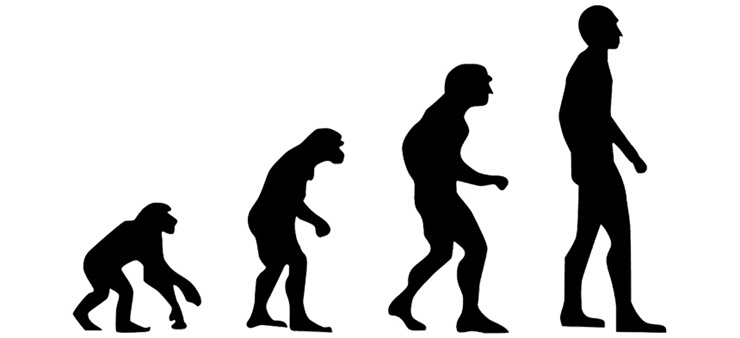 Affe entwickelt sich zum Menschen