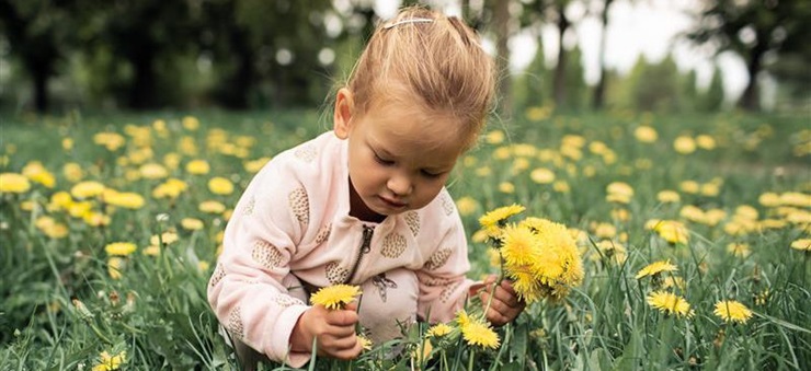 Mädchen pflückt Gänseblümchen auf einer Wiese.