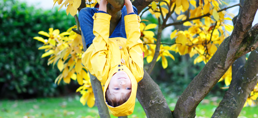 Kind mit gelben Regenmantel hängt von einem Baum.