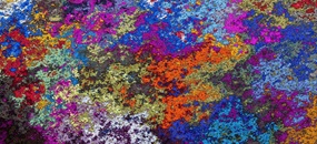 Ein abstraktes Gemälde aus verschiedensten, bunt gemischten Farben