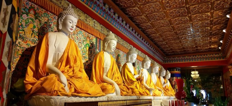 Mehrere Buddha Statuen sitzen im Lotussitz in einer Reihe an der Wand.