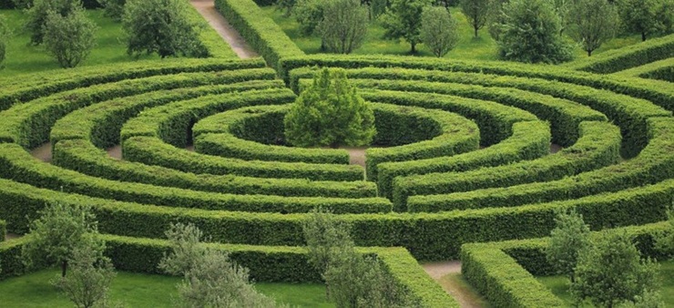 Ein kreisförmiges Labyrinth aus Büschen