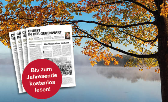 Bis Jahresende gratis lesen