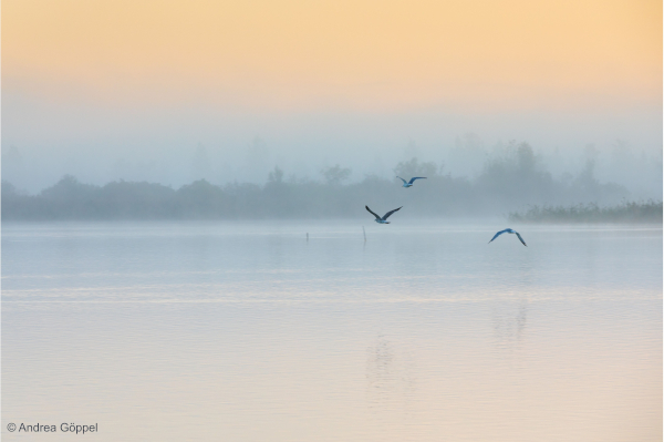 Zwei Ausgaben gratis lesen!