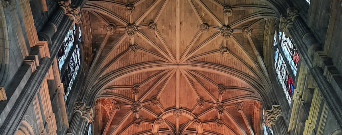 Kunst & Literatur:<br>Bildbände, Romane und mehr