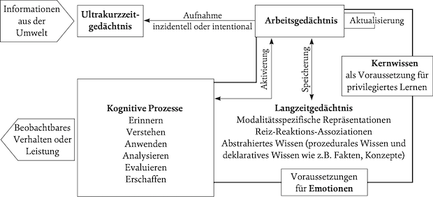 Grafik: An menschlichem Lernen beteiligte Gedächtnisprozesse und geistige Ressourcen