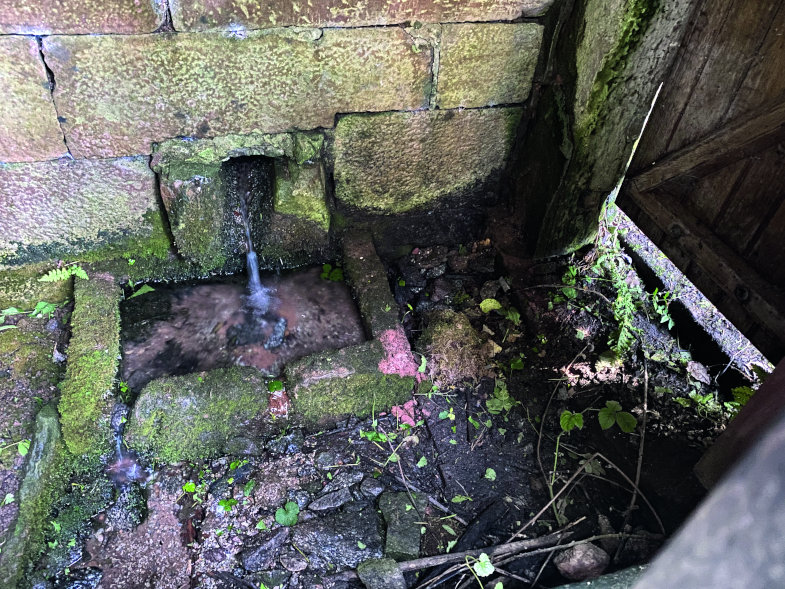 Alles wie vor 500 Jahren: Unter Bergen von Müll haben Bürger von Haibach im Landkreis Aschaffenburg gemeinsam mit Fachleuten vom Spessart- Projekt eine original erhaltene Brunnenstube aus dem Jahr 1525 freigelegt und in den örtlichen Kulturweg integriert.