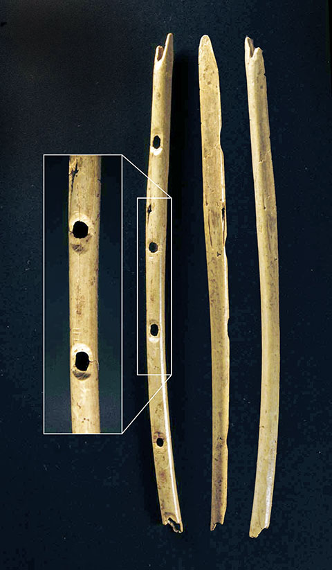 Flöte aus dem Hohle Fels, Schelklingen (Länge 21,8 cm).