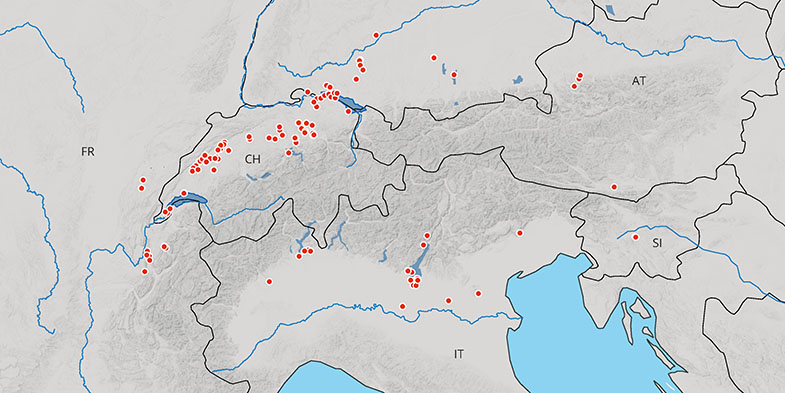 111 Fundstellen, sechs Länder, ein Welterbe – die Prähistorischen Pfahlbauten um die Alpen wurden gezielt als Repräsentanten der 937 erfassten Fundstellen dieser Art eingeschrieben.