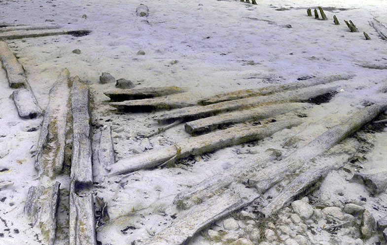 Hochaufgelöstes 3D-Modell frühkeltischer Bauhölzer an der Roseninsel im Starnberger See, erstellt aus mehreren Tausend Einzelaufnahmen.