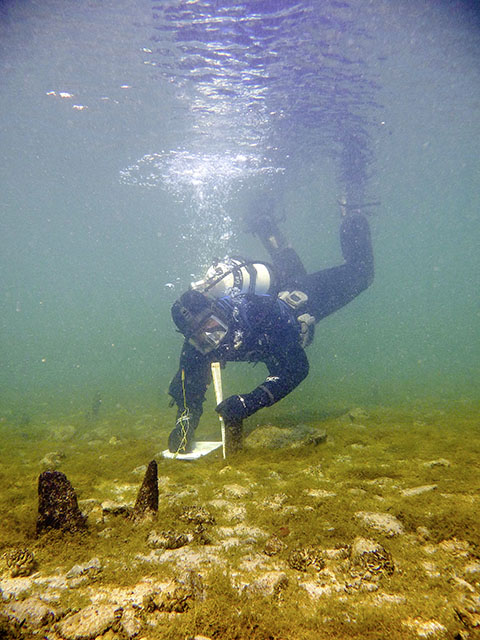 Im Rahmen des Welterbemonitorings liest ein Forschungstaucher in der Fundstelle Sipplingen- Osthafen im Bodensee Erosionsmarker ab.