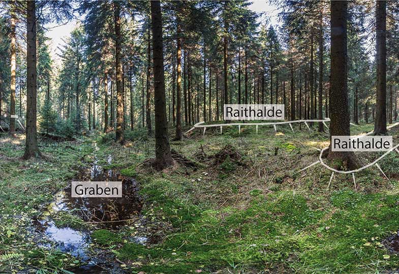 Das etwa 6 ha große bewaldete Zinnseifenrelikt bei Schellerhau wurde durch häufige Überprägungen bis zu 4 m tief abgetragen. 2018 gelang erstmals der Nachweis auf bronzezeitlichen Bergbau. Zu den typischen, obertägig sichtbaren Befunden zählen Abbaukanten, künstliche Gräben und Raithalden.