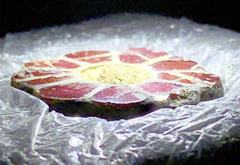 Einblicke in die Restaurierung