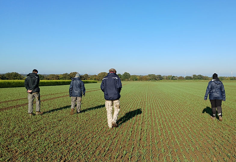 Von wegen »brotlose Kunst«