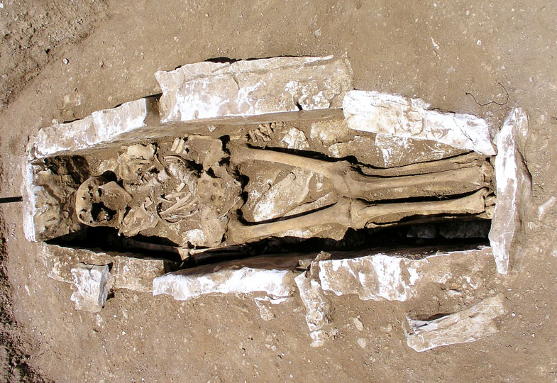 Völkerwanderung oder Familienausflug?