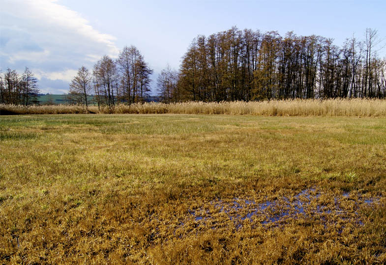 Was verraten Pollen, Sporen und Biomarker über die ersten 1000 Jahre Landwirtschaft?