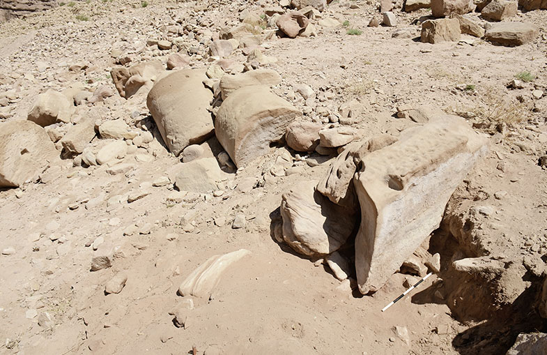 Abb. 10 Eine Säule der westlichen Portikus in Sturzlage auf der Terrasse unterhalb des Löwen-Greifen-Tempels.