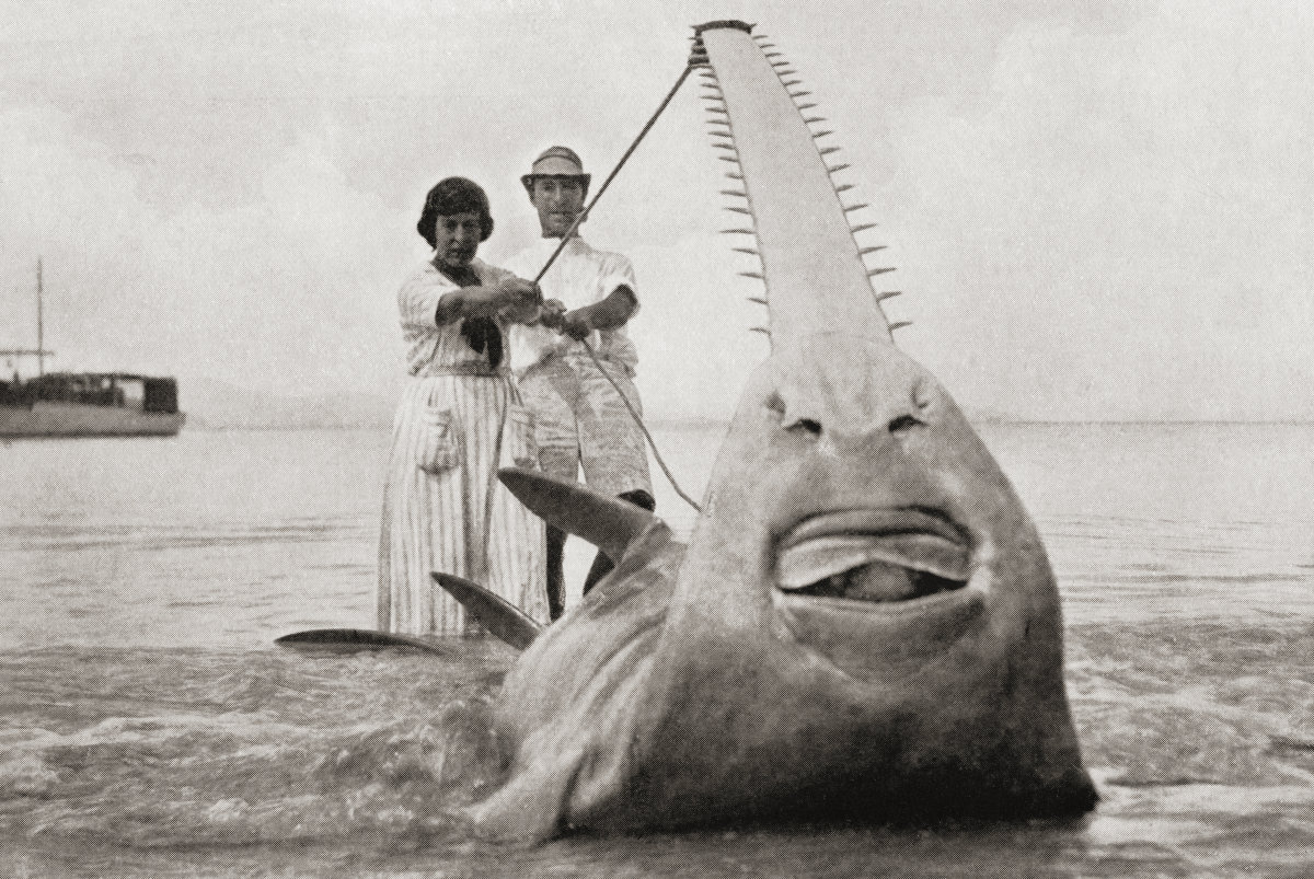 Mitchell-Hedges und Richmond Brown mit einem 5700 Pfund schweren Sägerochen, erlegt auf ihrer ersten gemeinsamen Reise 1921–1923.