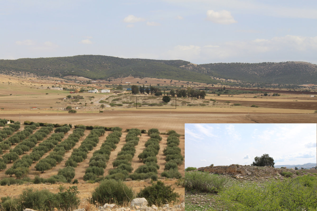 Der Fundort Bir Tersass von Nordwesten aus betrachtet. In dessen Zentrum liegt die byzantinische Fortifikation (unten rechts).