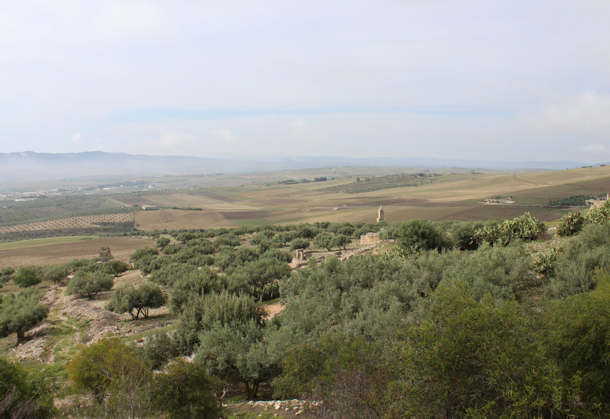 Das Oued Khalled von Thugga aus nach Süden blickend.