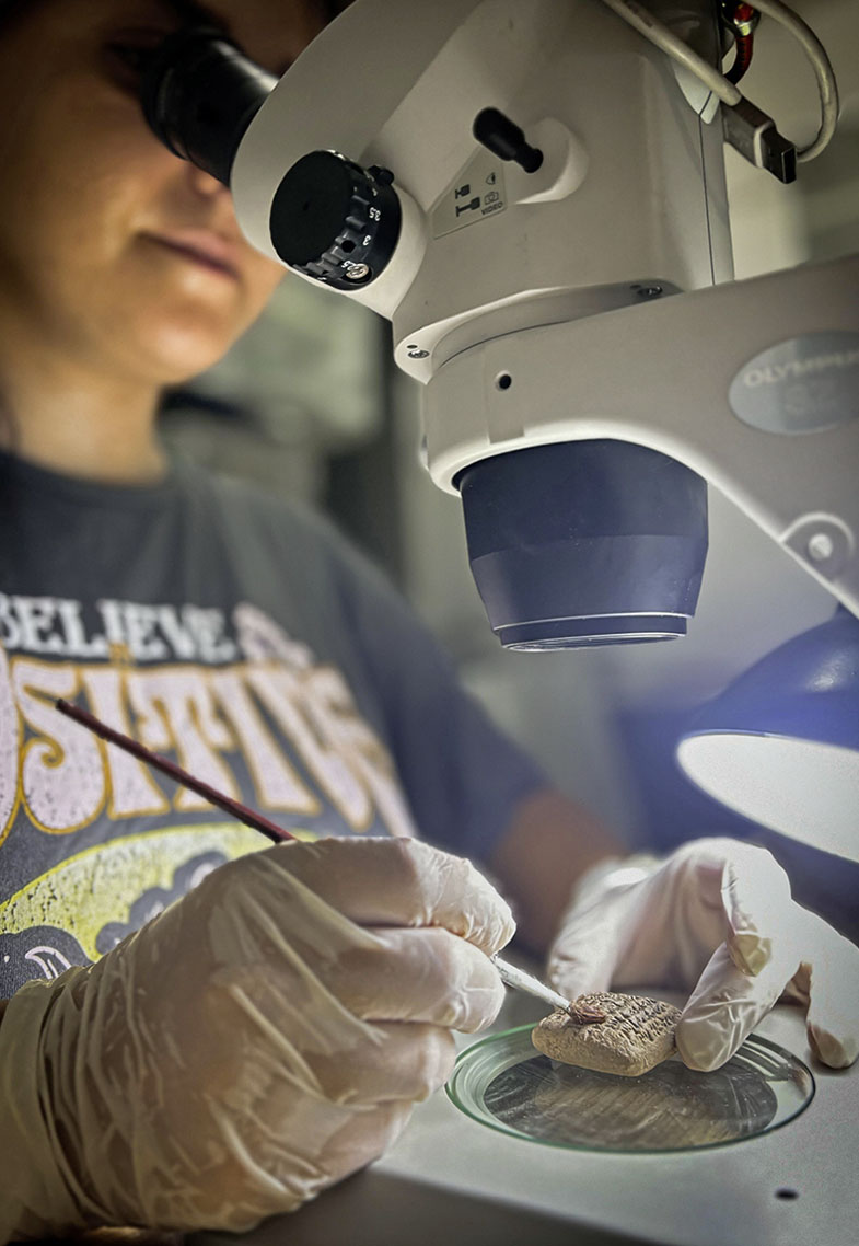 Abb. 4 Die im Juni 2024 gefundene Tontafel ist eine Ankaufsliste von Möbelstücken (Tische, Stühle und Hocker).