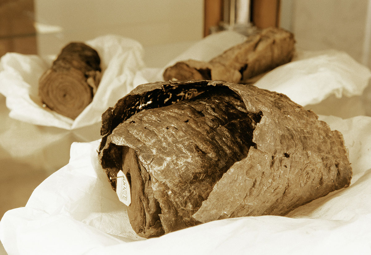 Ungeöffnete herkulanische Papyri.