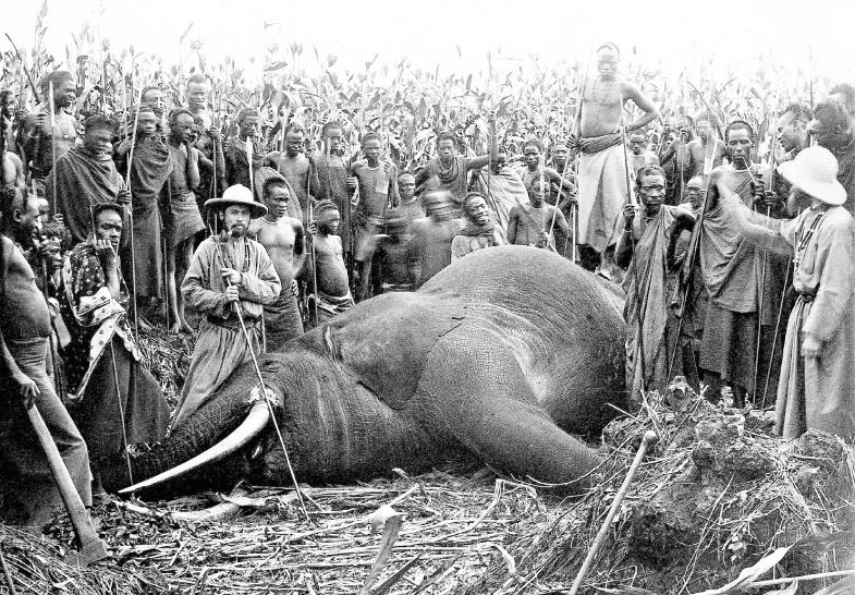 Missionare auf Elefantenjagd