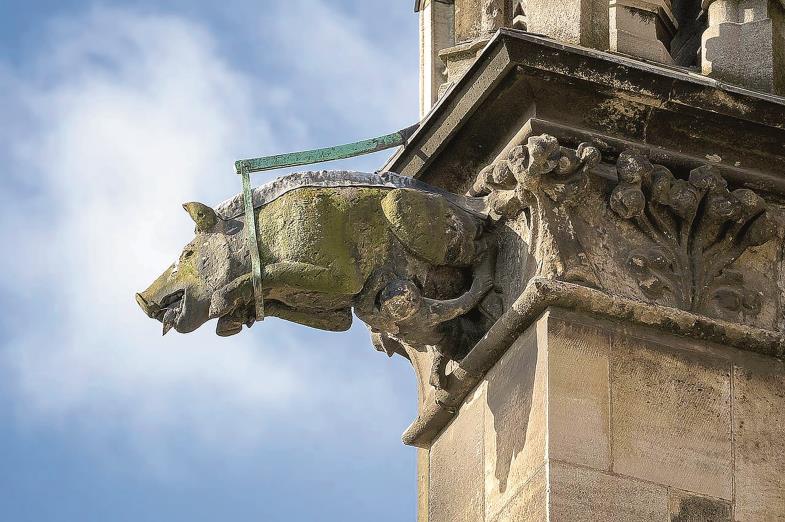 „Judensau“ am Dom in Köln