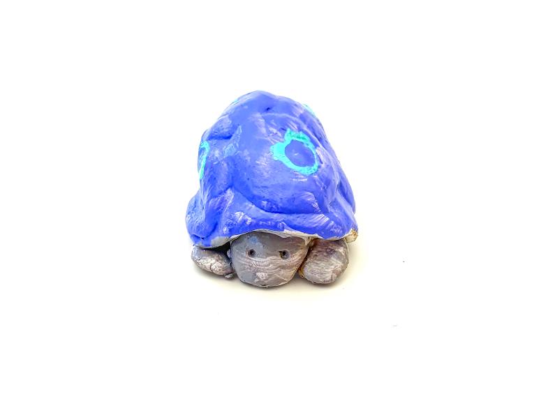 Schildkröte aus Ton mit blauem Panzer