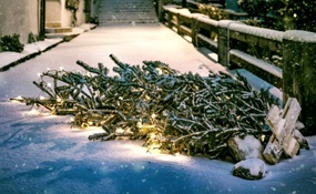 Verschneite Brücke, darauf ein umgestürzter Weihnachtsbaum, ebenfalls leicht mit Schnee bedeckt, aber dennoch leuchtend
