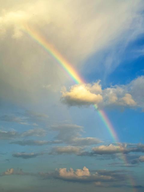 Verheißung oder Falle