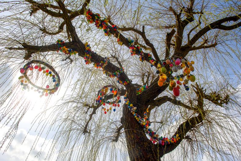 Wenn die Bäume  Eier tragen...