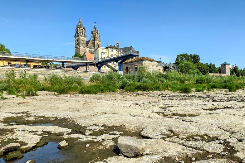 Niedrigwasser am Fuße des Doms: Bild der Woche