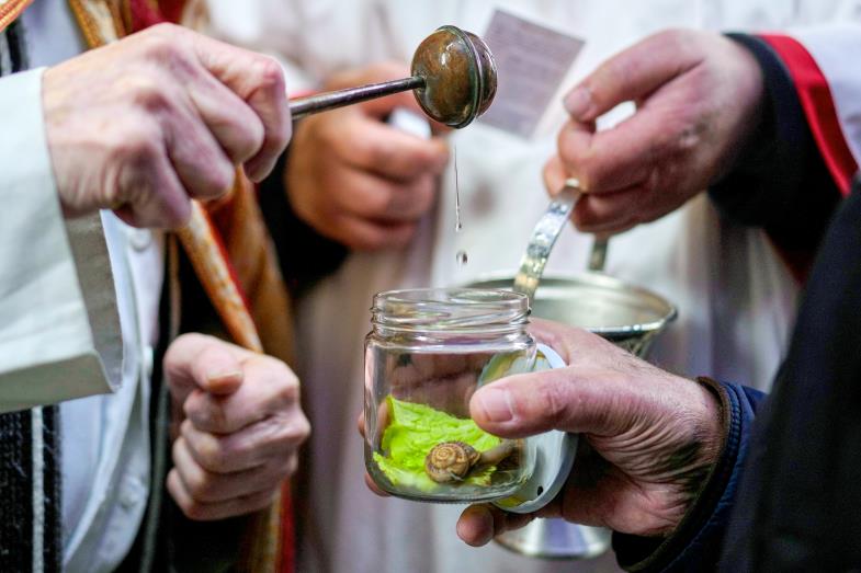 Begrüßung: Einstimmung zum Thema "Das Tier und wir"