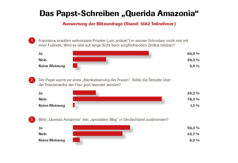 Auswertung der CIG-Redaktionsumfrage zum Papst-Schreiben zur Amazonas-Synode