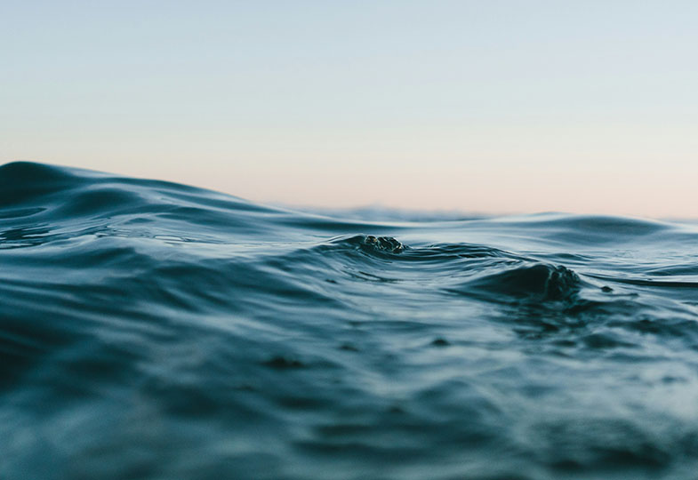 Wasser