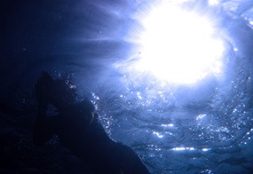 Durchlichtetes Wasser