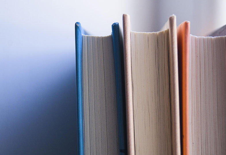Erfahrung und Bildung im Werk des Dominikaners Tiemo Rainer Peters