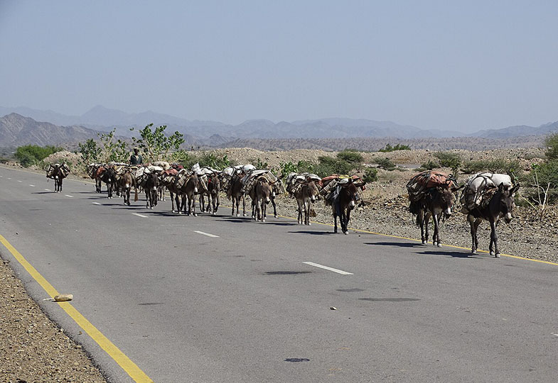 1002 Ohren vor Gott: Zu einem Text von Francis Jammes