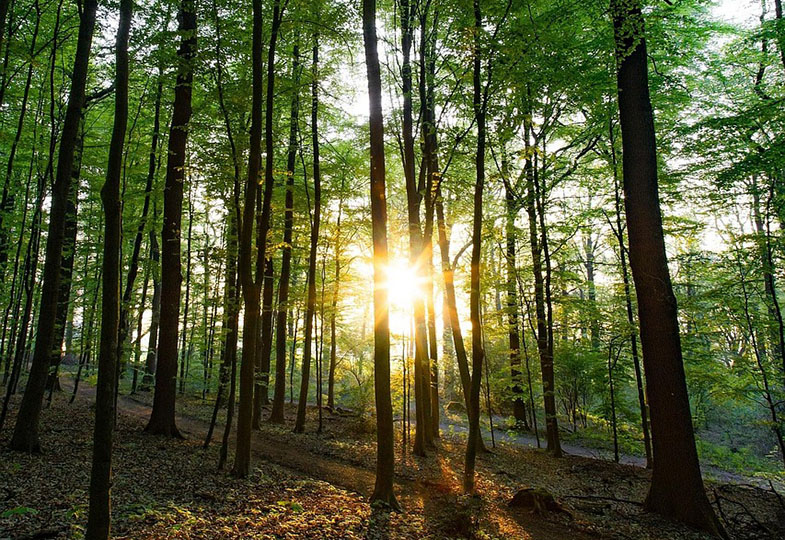 «Die Musik ist die schönste Stimme Gottes»: Ein Gespräch mit dem Komponisten Pēteris Vasks