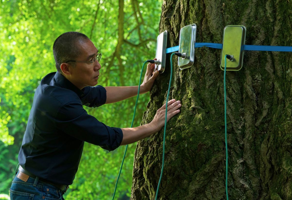 Der Neurowissenschaftler Professor Wong (Tony Leung Chiu-wai) führt in Ildikó Enyedis Film Silent Friend (2026) Forschungen an dem Ginkgo biloba durch.