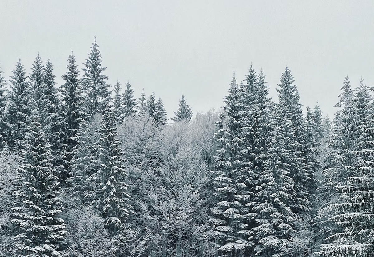 Verklärung oder: Als das Glück von außen kam: Gedanken zum Advent