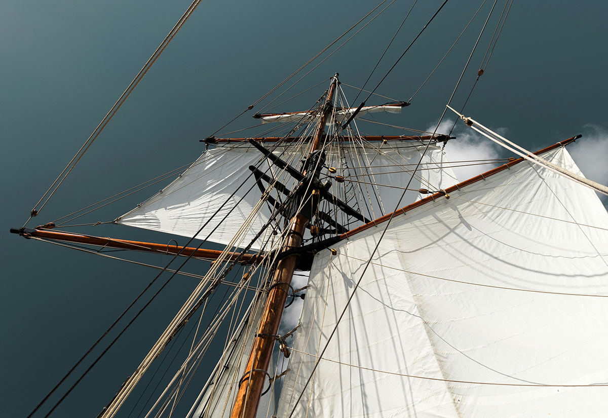 Ein Beben des Mitgefühls: Herman Melvilles Erzählung "Billy Budd"