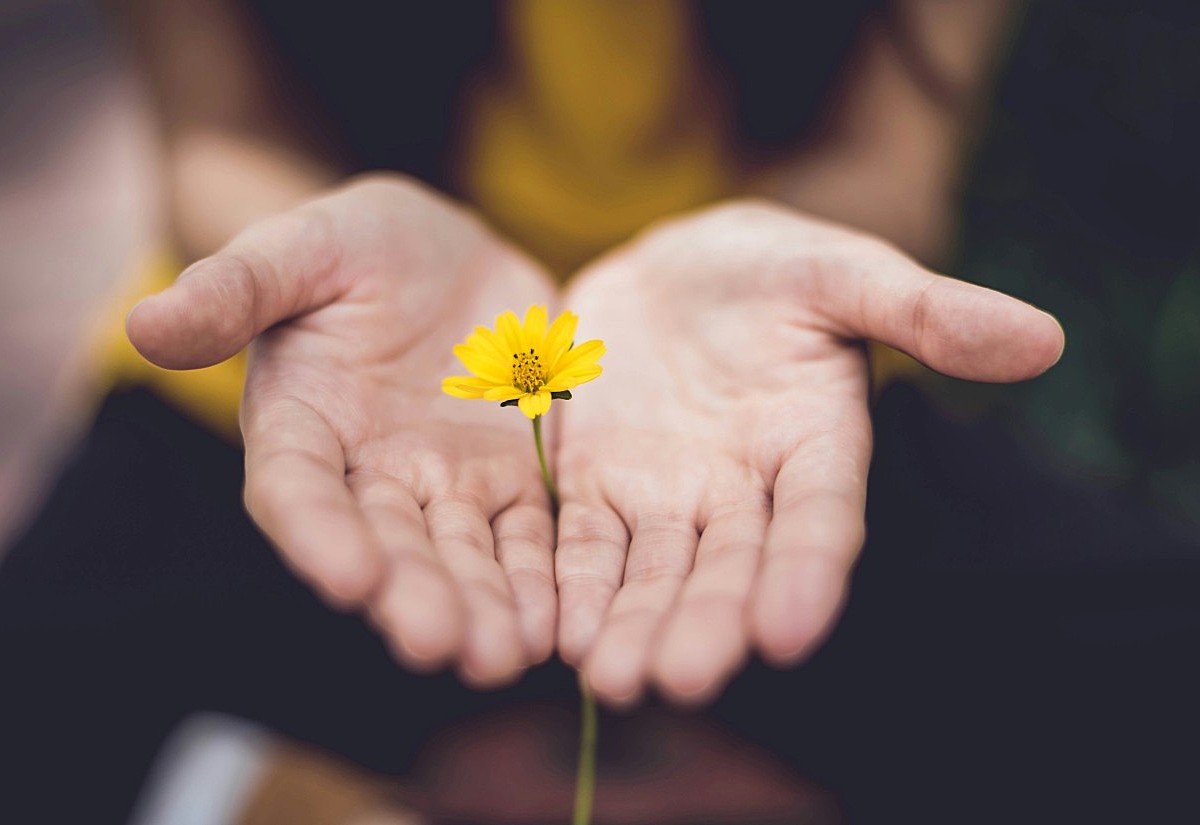 Gabe ohne Schenkungssteuer: Eine Meditation über die Seligkeit des Gebens vor jedem Nehmen